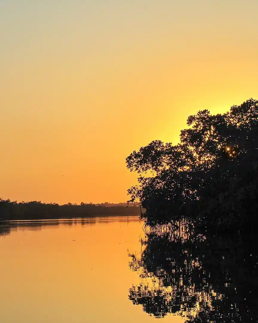 Foto: Atardecer entre los manglares · Gambia