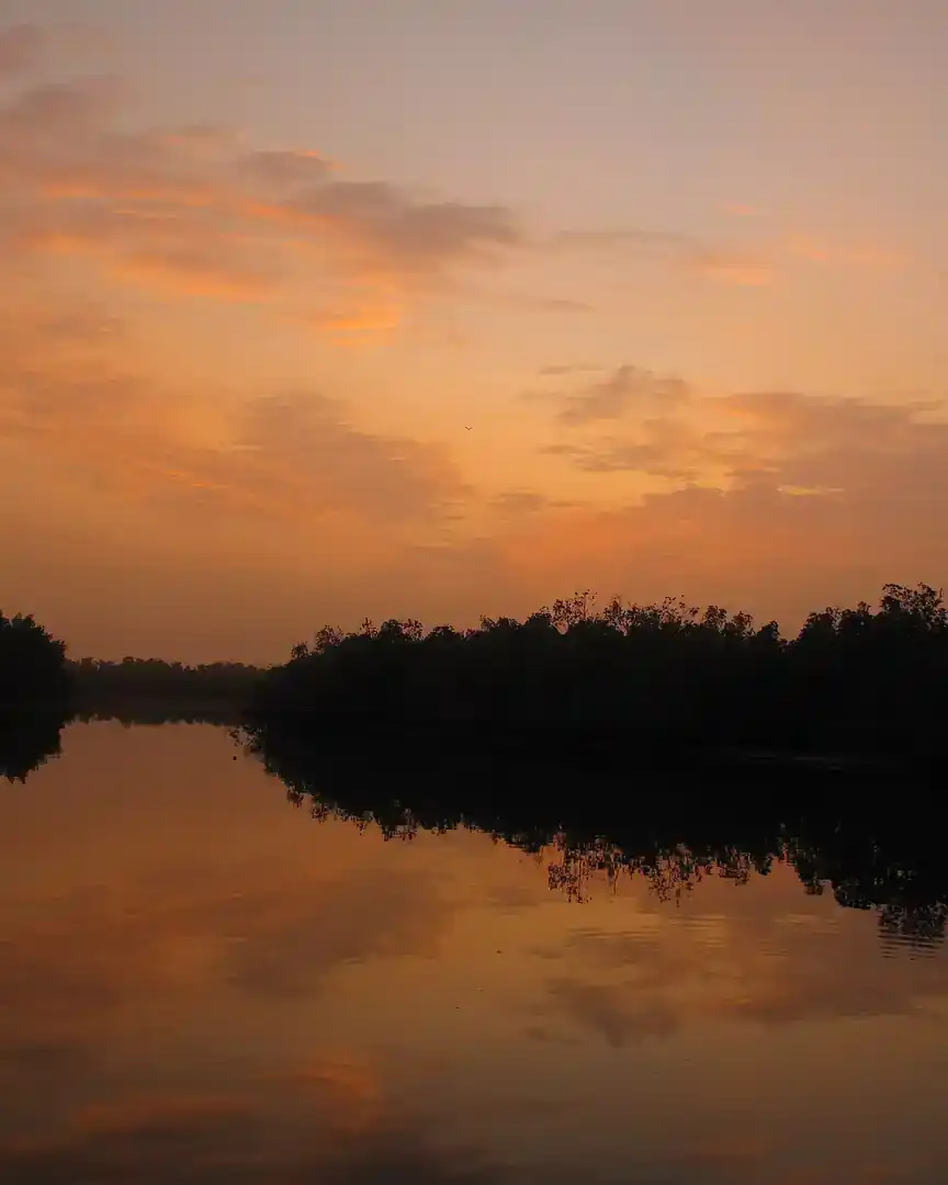 Foto: Alba sobre los manglares de Makasutu · Gambia