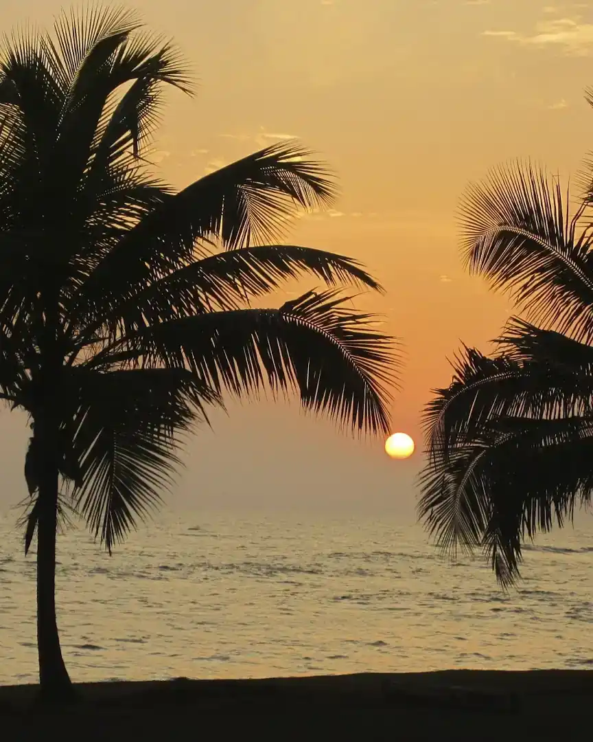 Foto: Atardecer entre palmeras en la costa · Liberia