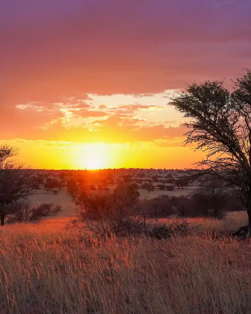 Foto: Atardecer en el desierto del Kalahari · Namibia