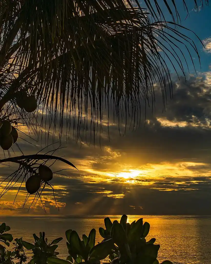 Foto: Amanecer en la costa de Anse Royale · Seychelles
