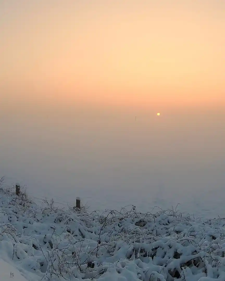 Foto: Atardecer con niebla en Schwafheim · Alemania