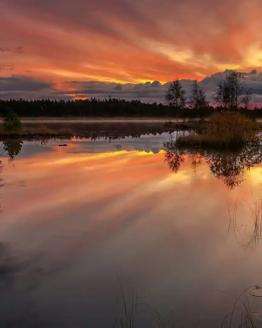 Foto: Alba sobre el lago Laanemaa · Estonia