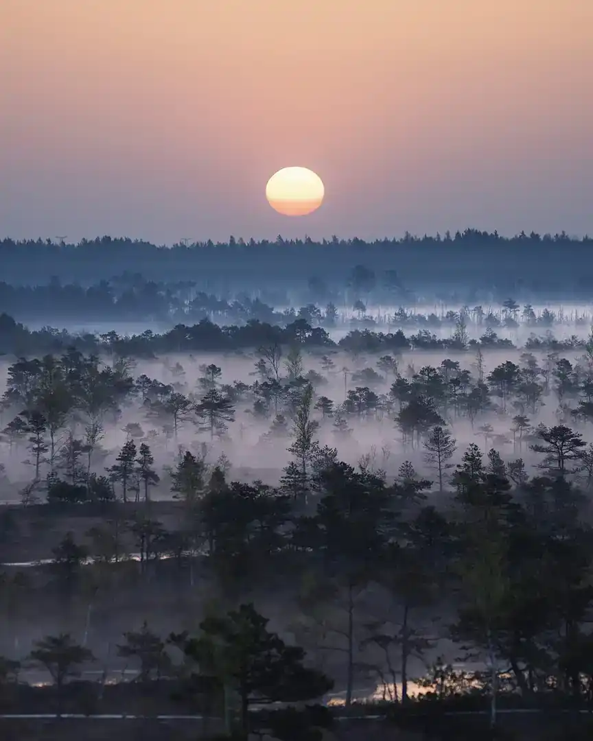 Foto: Amanecer en el gran pantano de Ķemeri · Letonia
