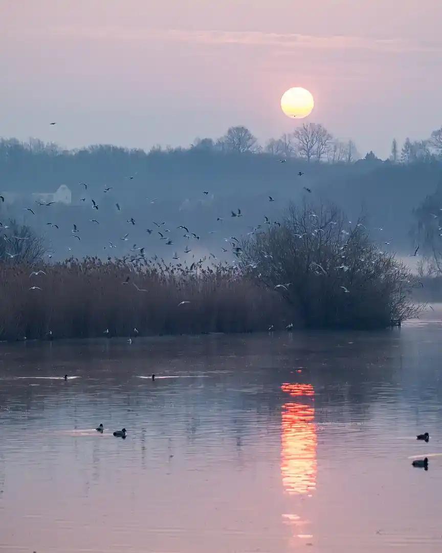 Foto: Amanecer en el estanque Skučák · República Checa