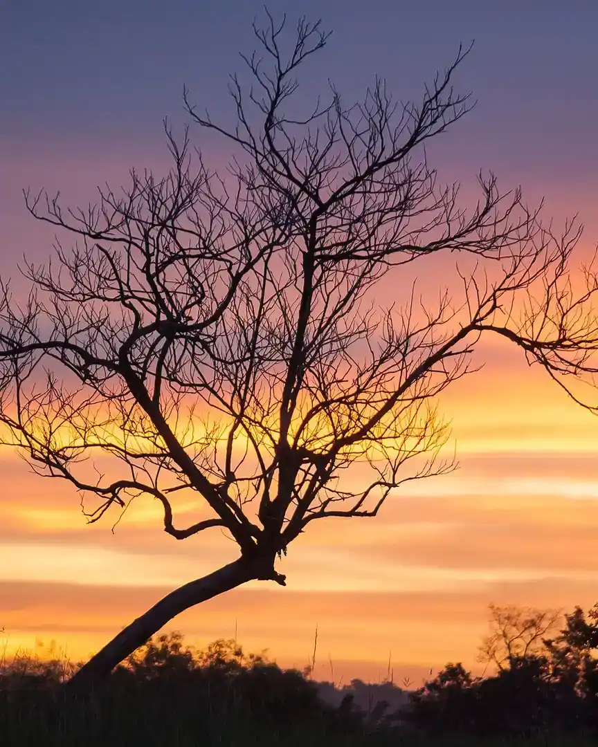 Foto: Alba en el campo · Cuba