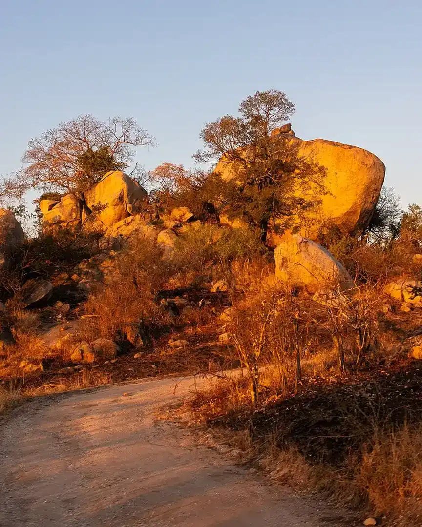 Foto: Alba en el parque nacional Kruger · Sudáfrica