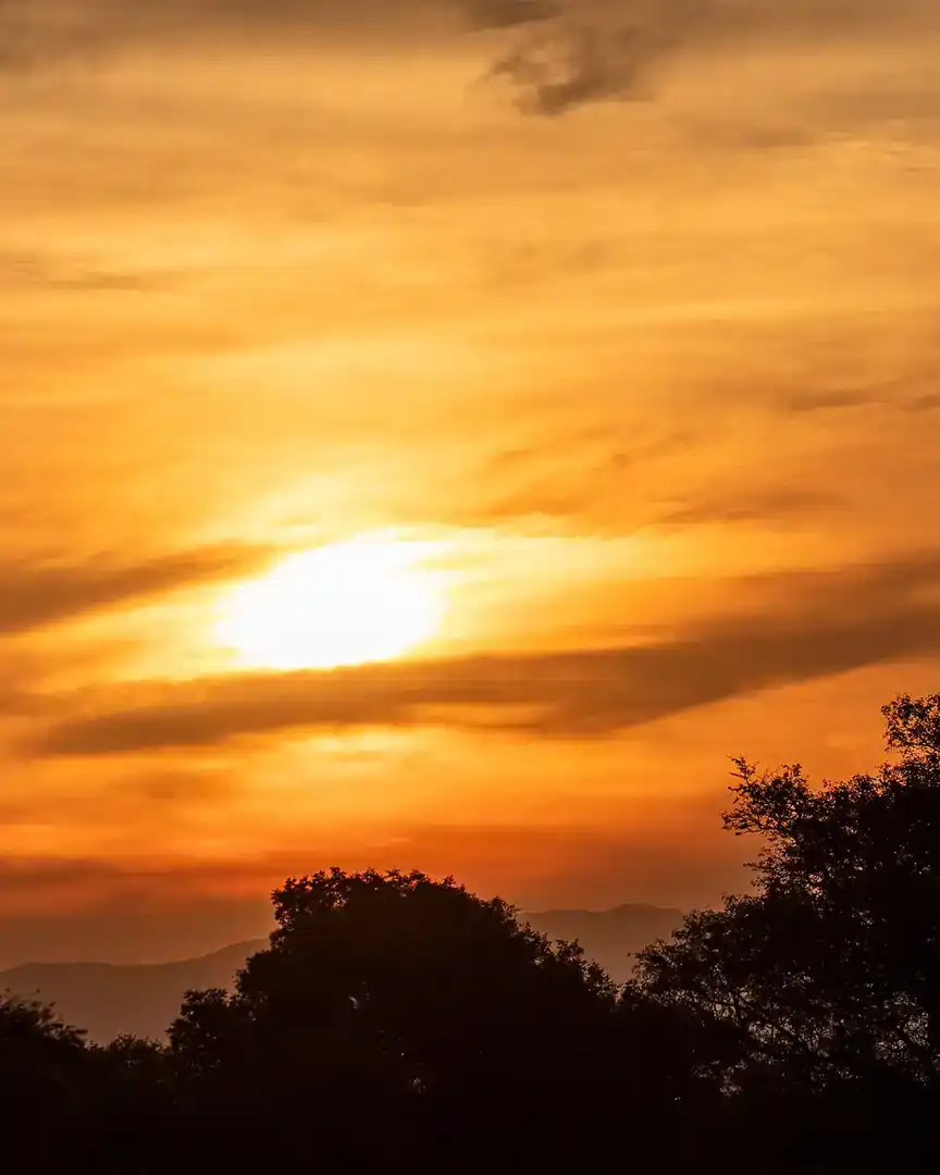 Foto: Atardecer en la reserva de Makalali · Sudáfrica