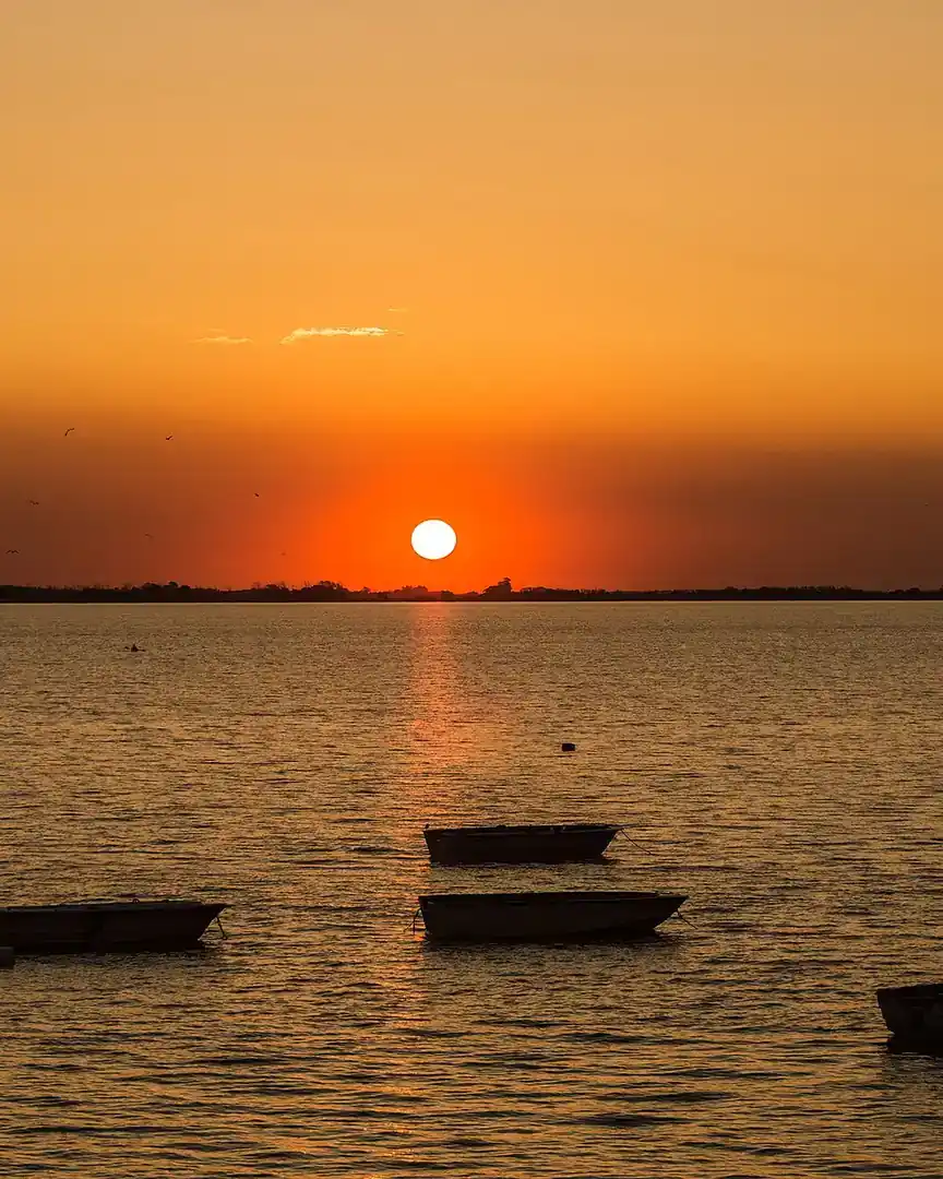 Foto: Atardecer en la laguna de Chascomús · Argentina