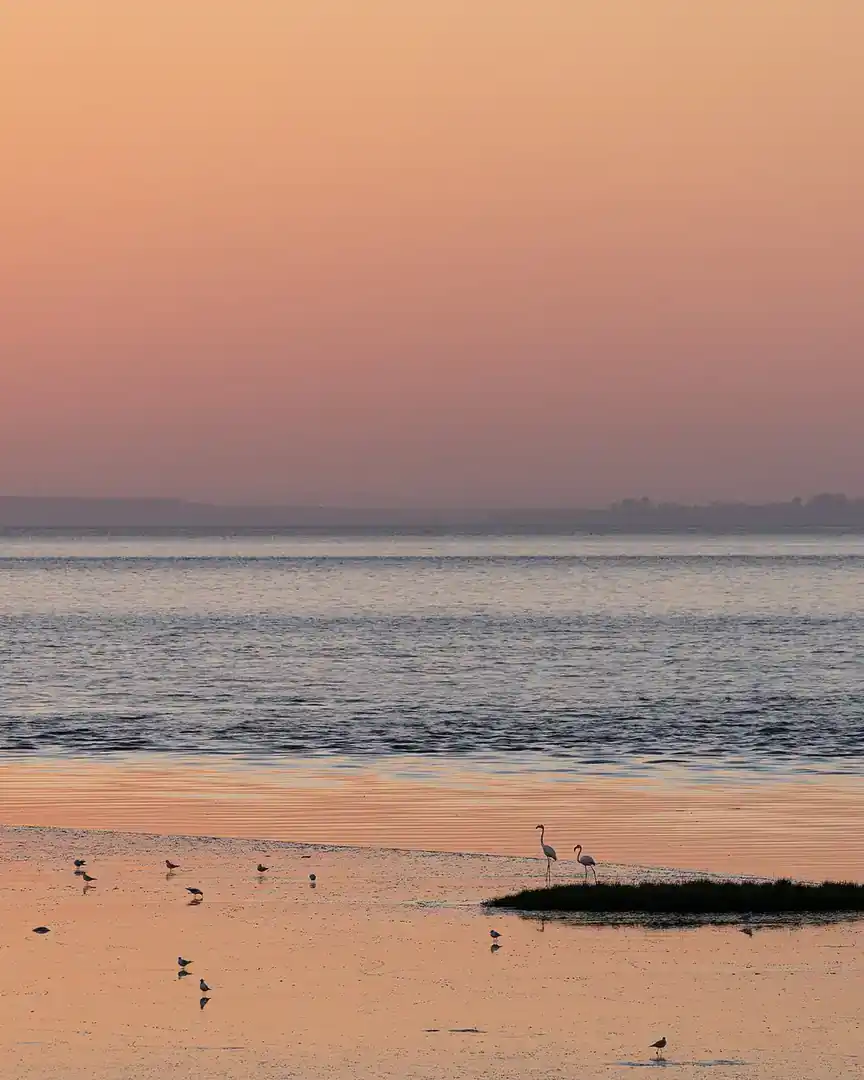 Foto: Amanecer en el Parque Papa Francisco · Portugal
