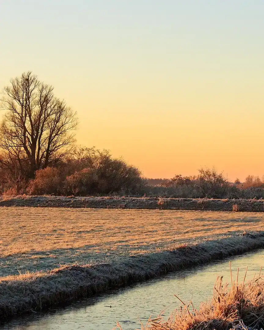 Foto: Amanecer en los lagos Langweerderwielen · Países Bajos