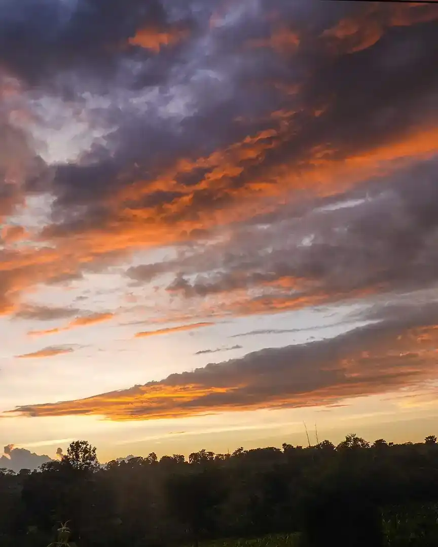 Foto: Atardecer en Kabini · India