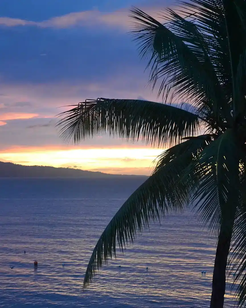 Foto: Atardecer entre palmeras · Fiyi