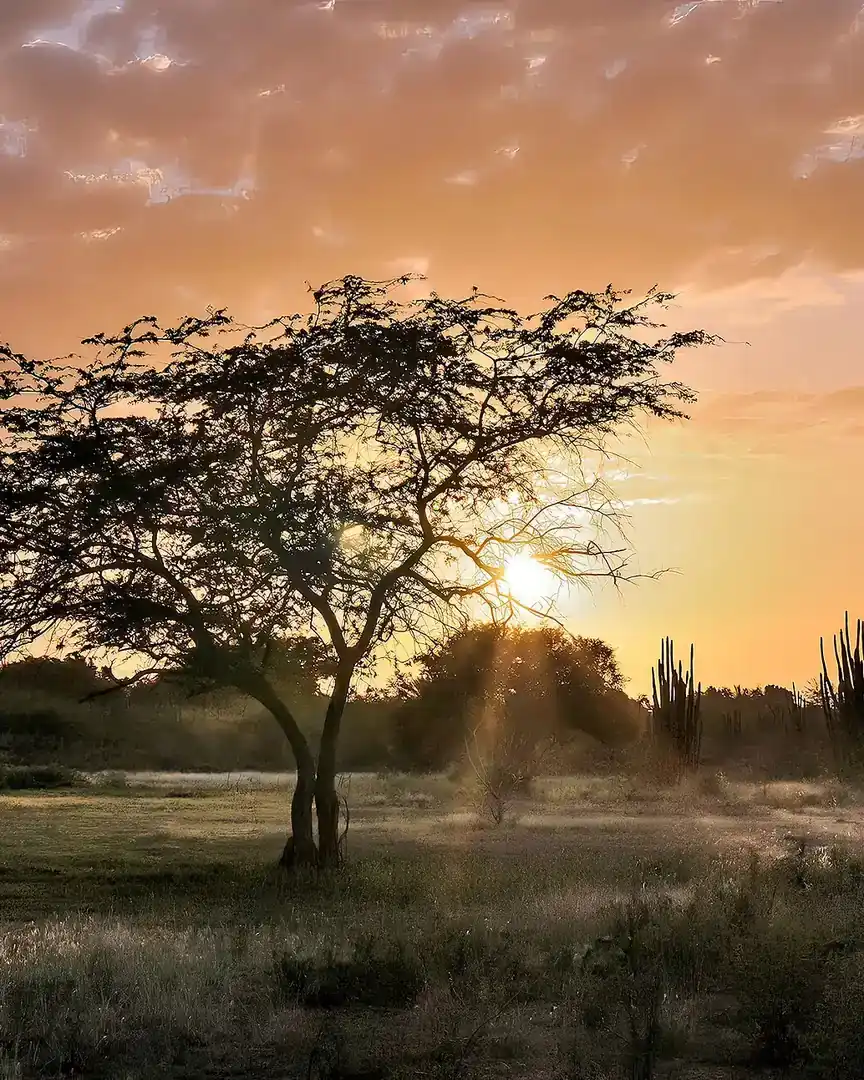 Foto: Atardecer en Las Guevaras, isla Margarita · Venezuela