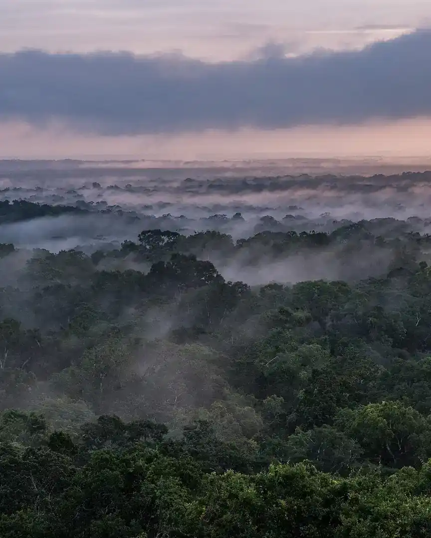 Foto: Amanecer sobre la selva de Tikal · Guatemala