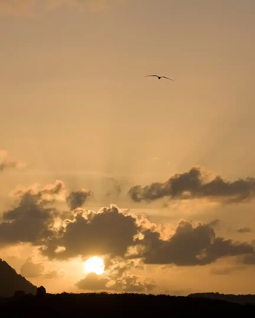 Foto: Atardecer en el puerto de St. John's · Antigua y Barbuda