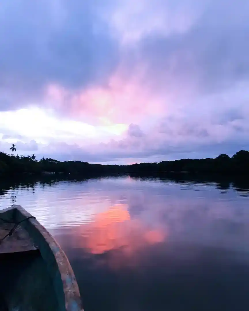 Foto: Atardecer en los manglares de Isla Cañas · Panamá