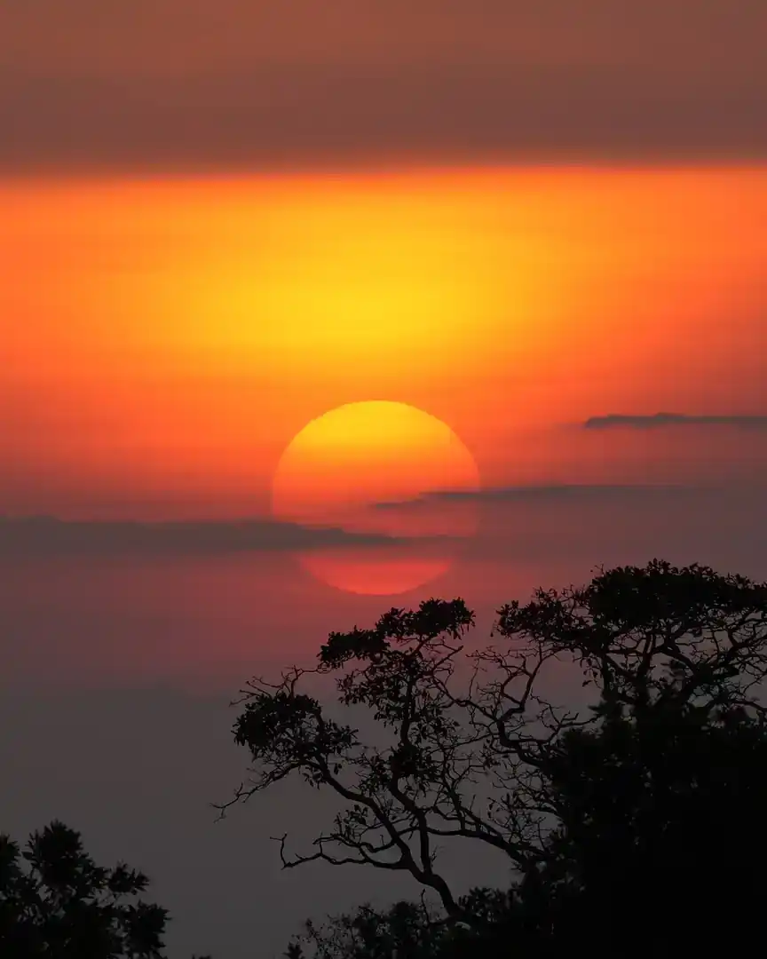 Foto: Amanecer en el Parque Nacional del Serengeti · Tanzania