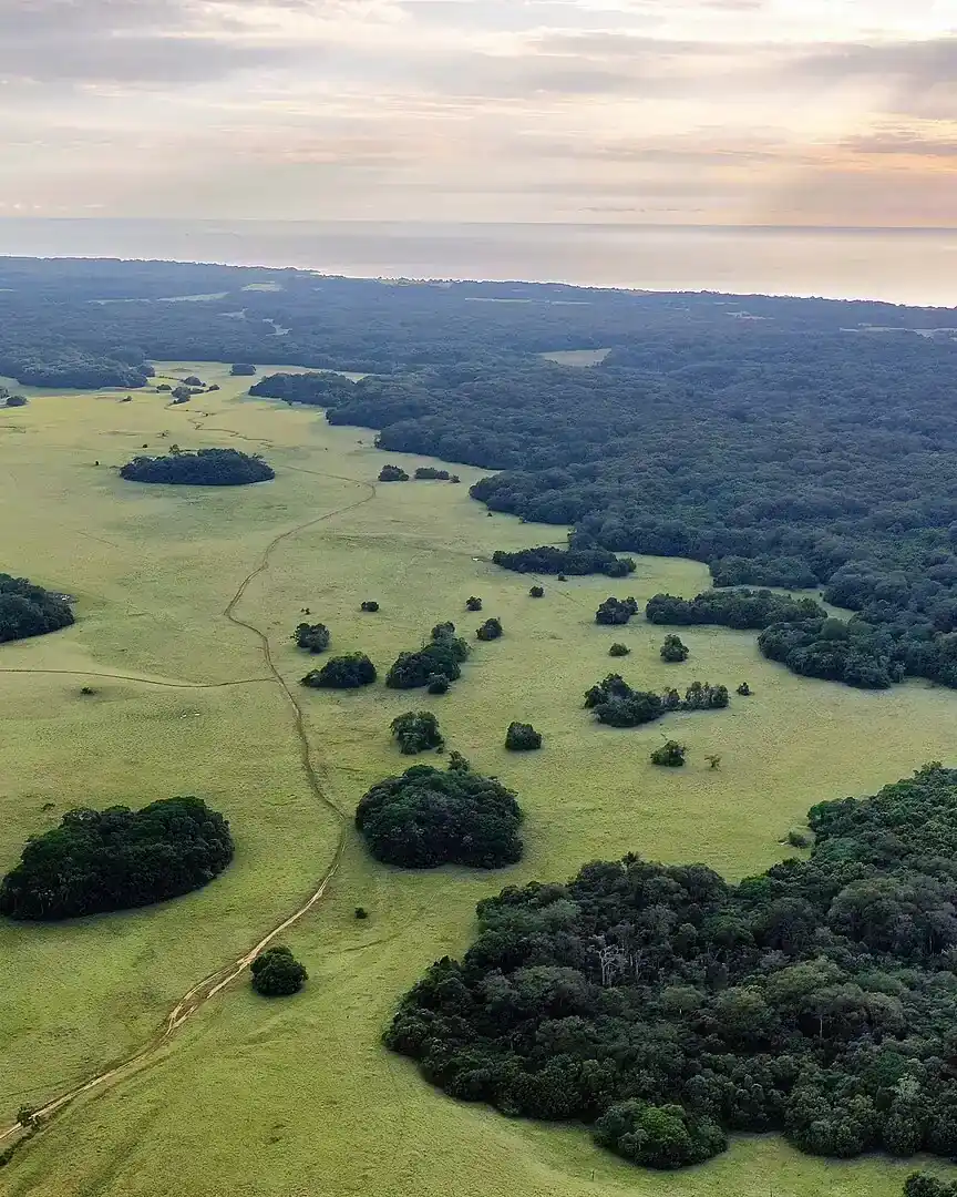 Foto: Llanura de Blanco, Nyonié · Gabón