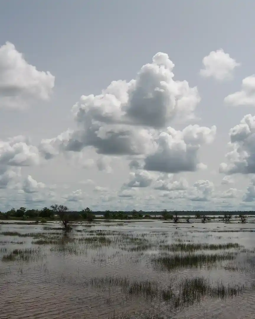 Foto: Humedales del río Gambia · Gambia
