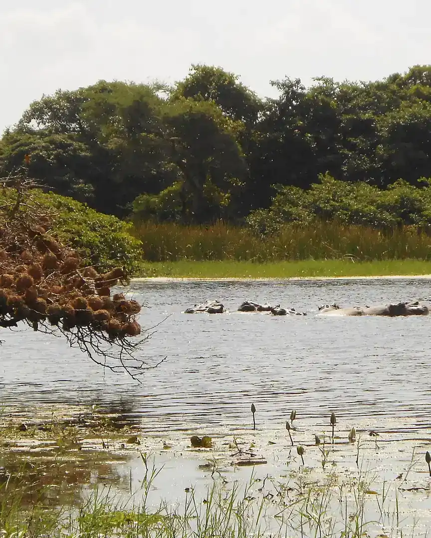 Foto: Parque nacional de las islas Orango · Guinea-Bisáu