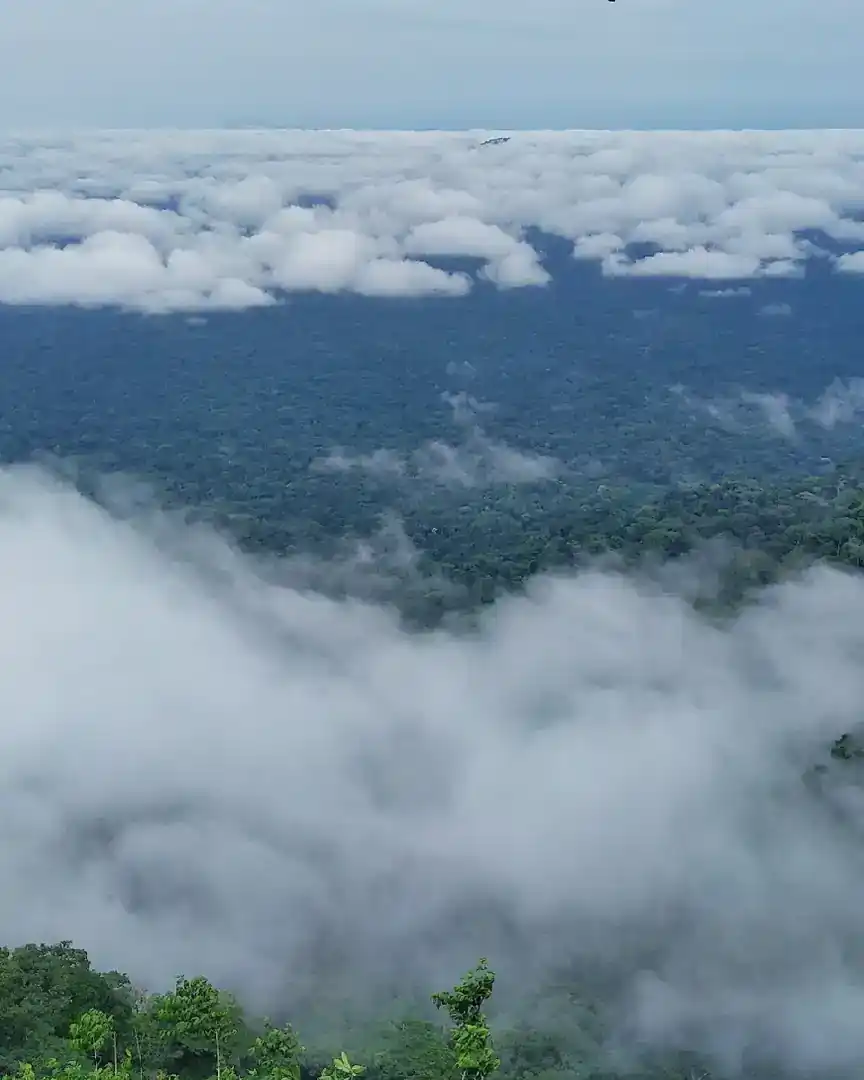 Foto: Parque Nacional de Takamanda · Camerún