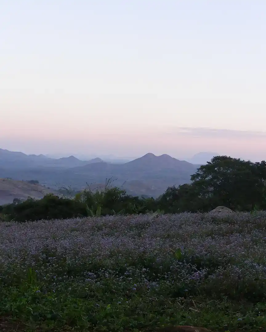 Foto: Meseta de Zomba · Malaui