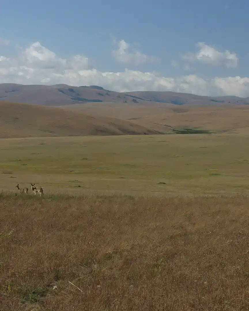 Foto: Parque nacional de Nyika · Malaui