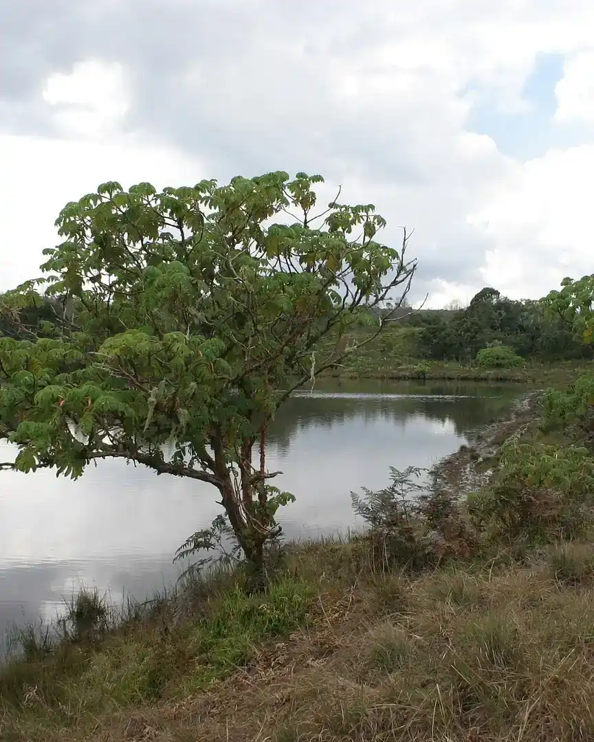 Foto: Lago Kaulime · Malaui