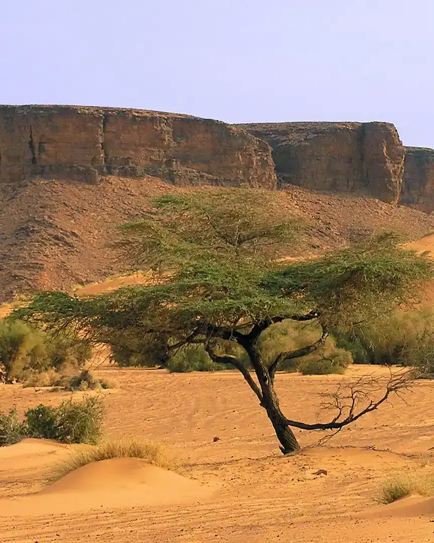 Foto: Meseta de Adrar · Mauritania