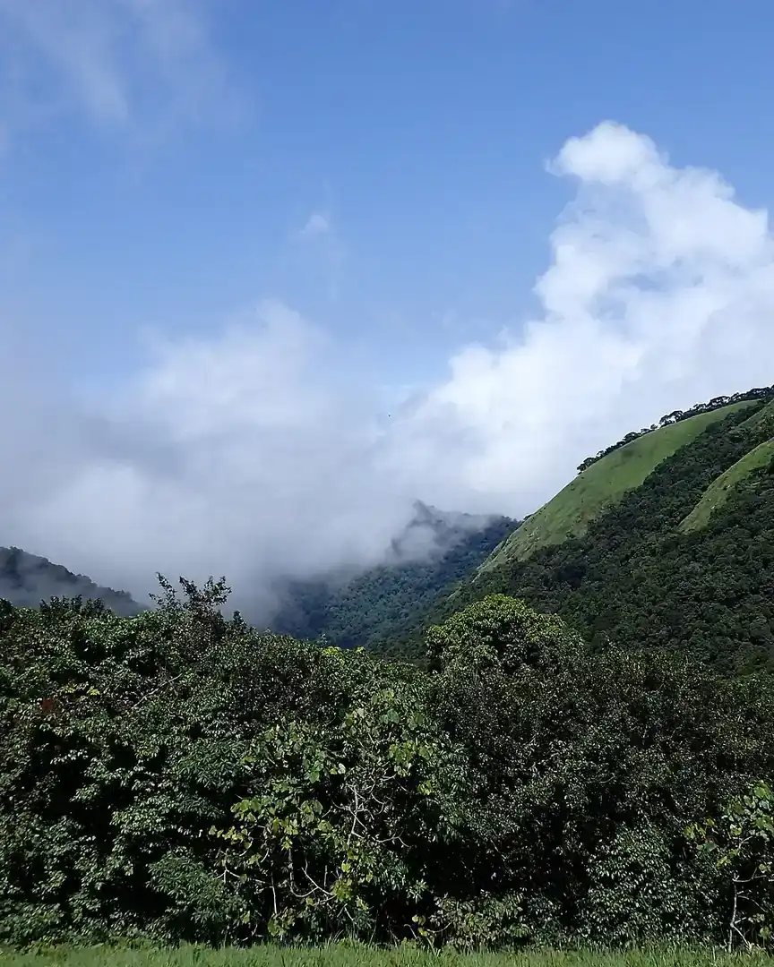 Foto: Parque nacional del Río Cross · Nigeria