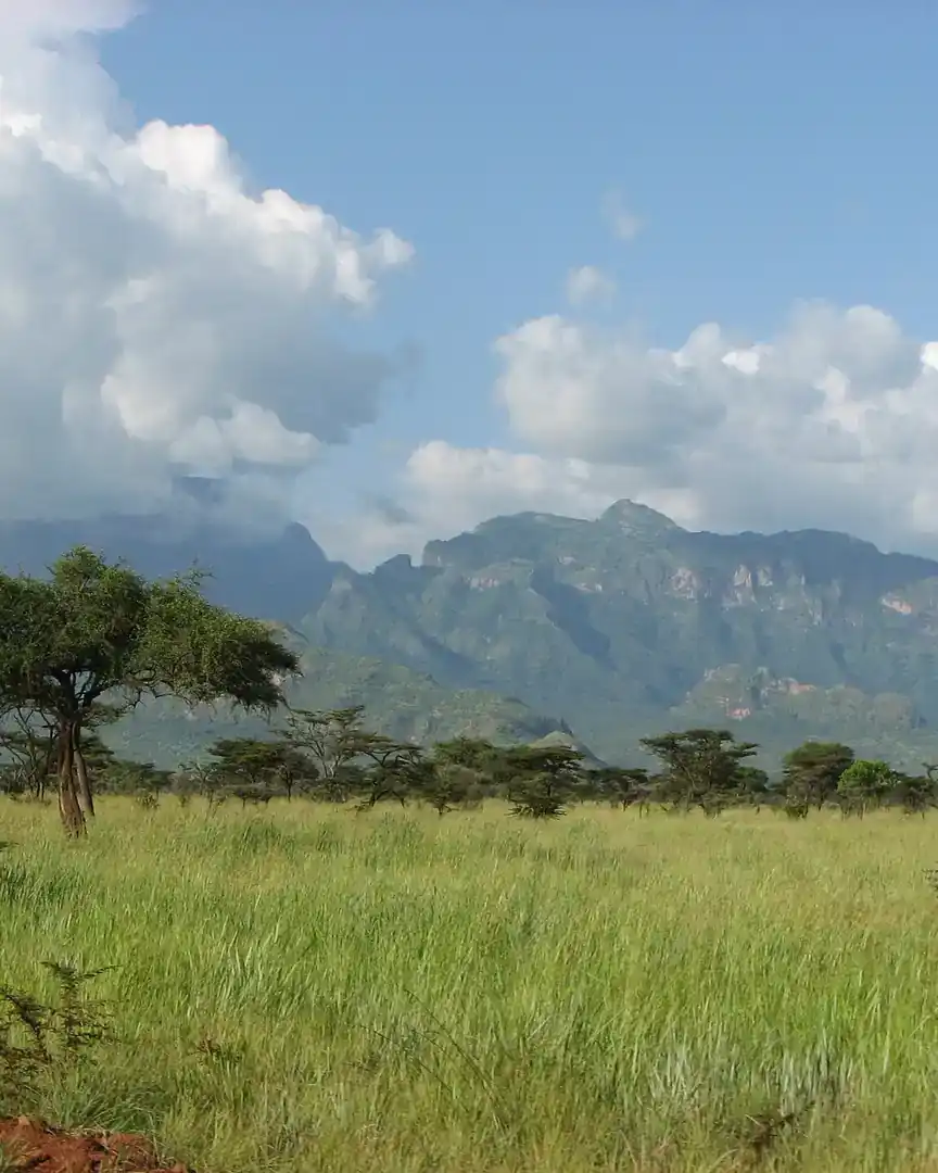 Foto: Monte Kadam · Uganda