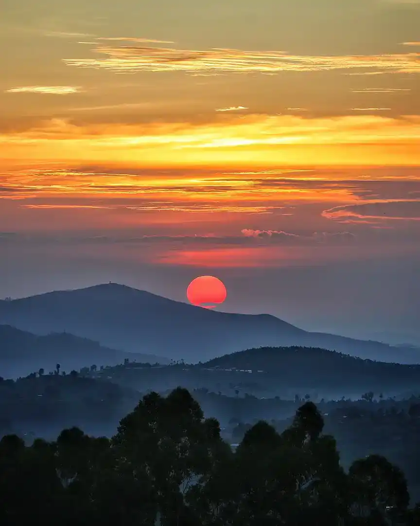 Foto: Bosque de Nyungwe · Ruanda