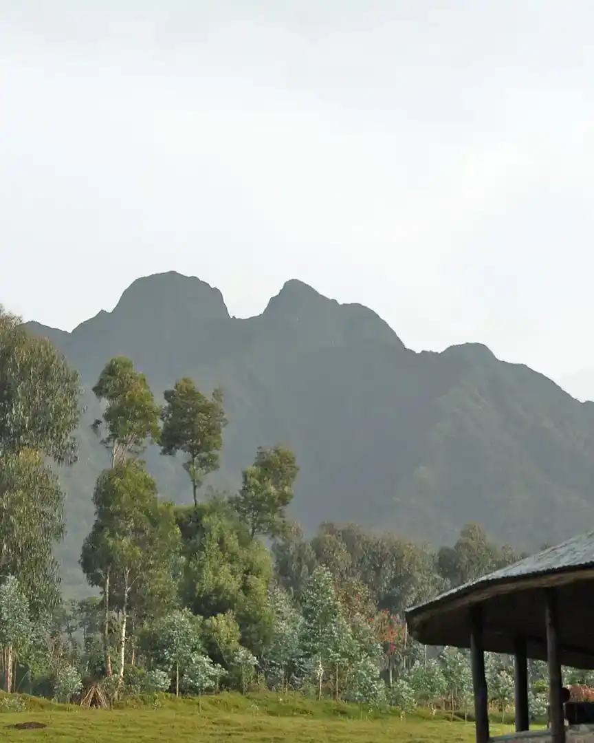 Foto: Nationaal park Volcans · Rwanda
