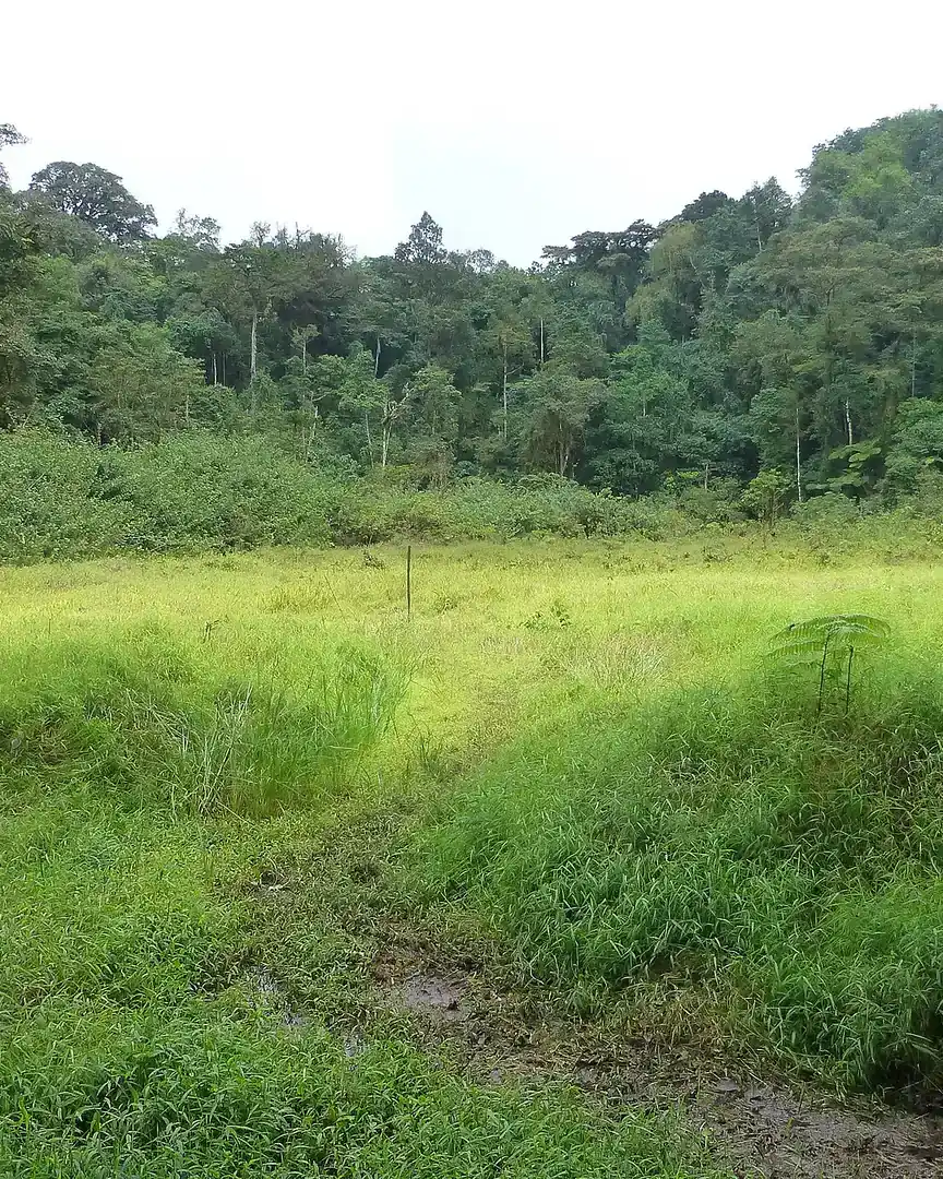 Foto: Lagoa Amélia · São Tomé e Príncipe