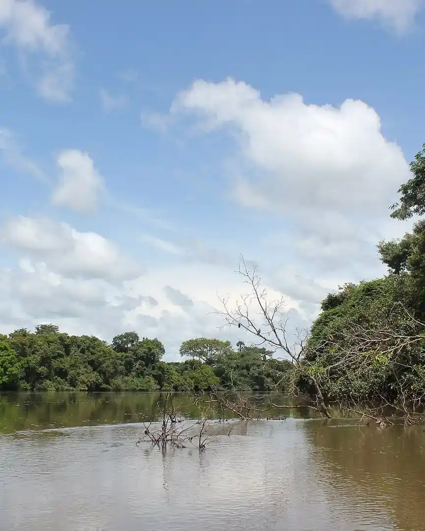 Foto: Río Pequeño Scarcies · Sierra Leona