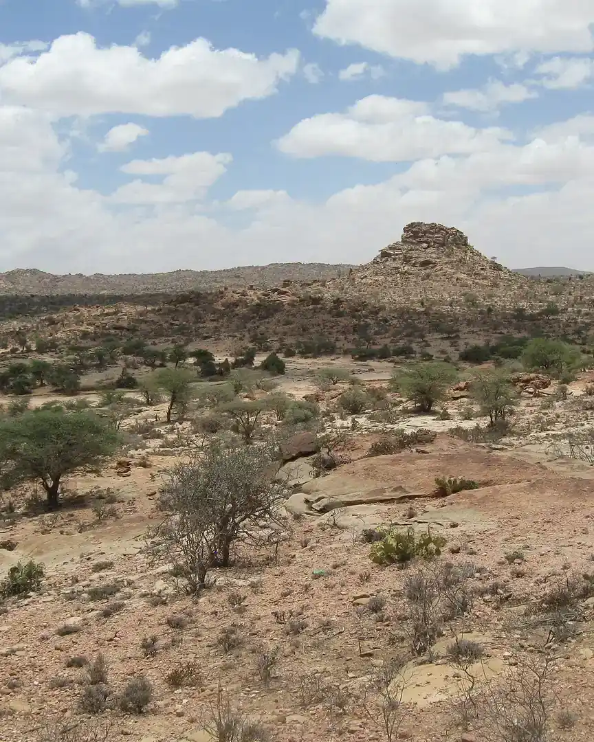 Foto: Savana da Somalilândia · Somália