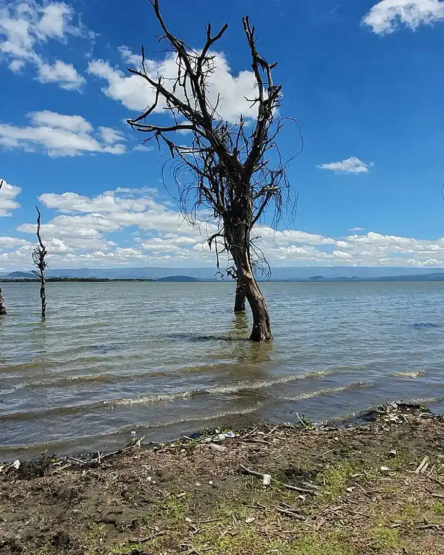 Foto: Lago Naivasha · Kenia