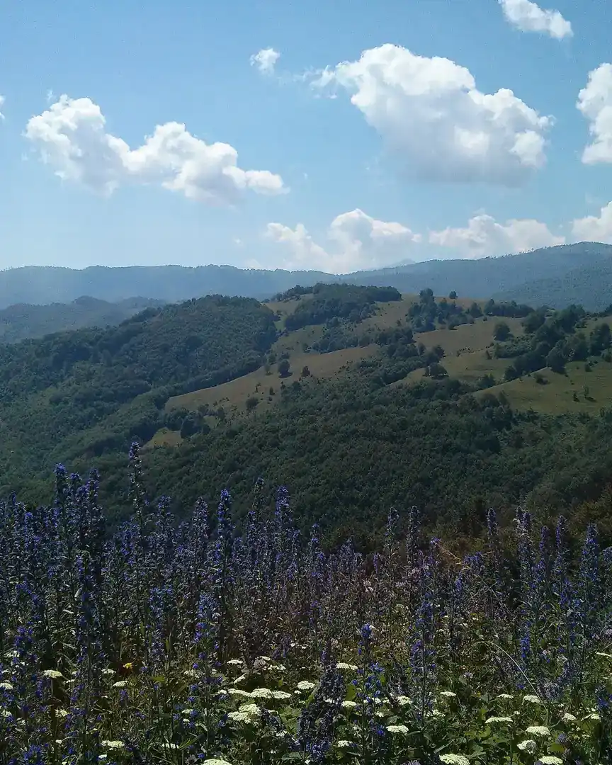 Foto: Crnoljeva · Kosovo