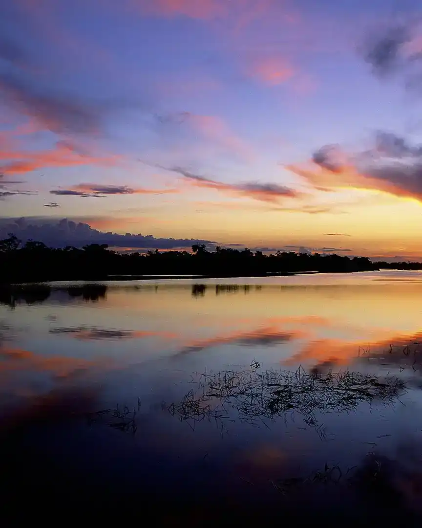Foto: Parque nacional del Jaú · Brasil