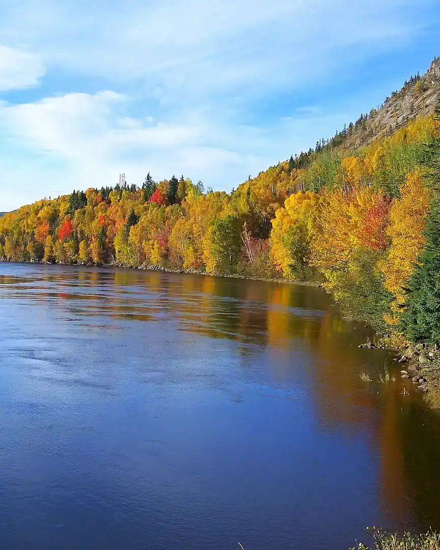 Foto: Isla de Terranova · Canadá