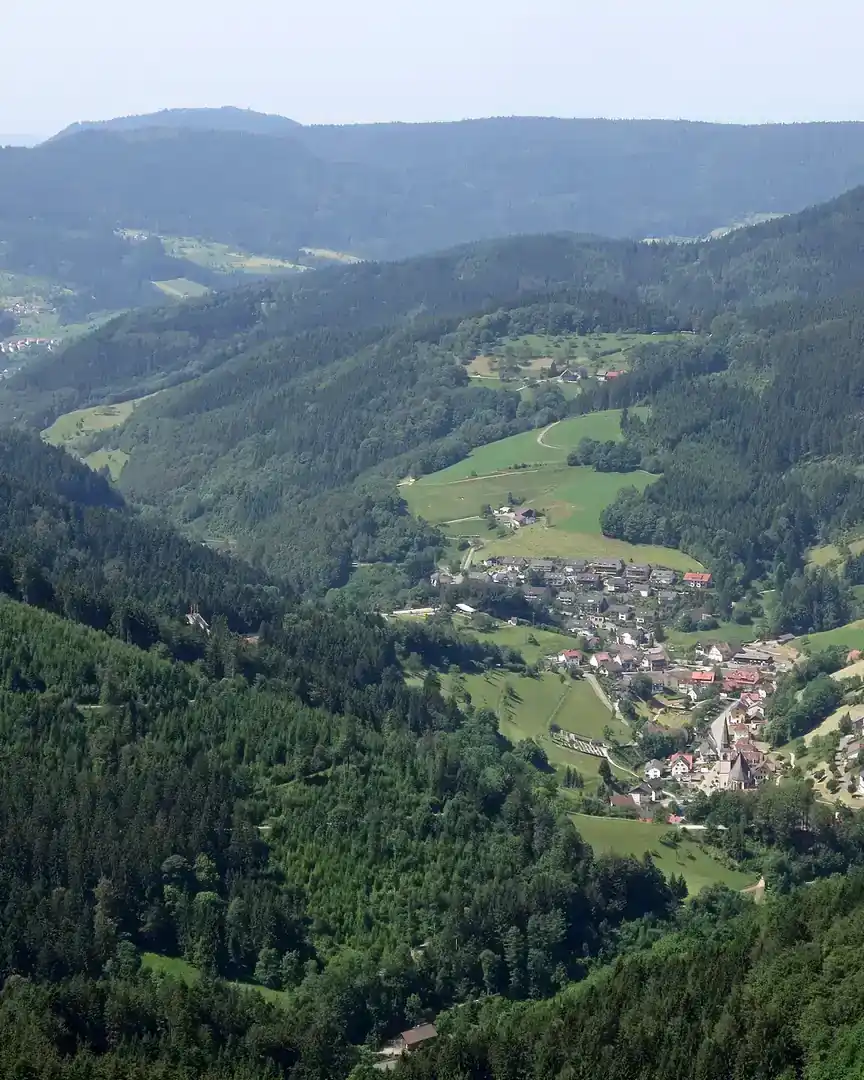 Photo: Black Forest · Germany