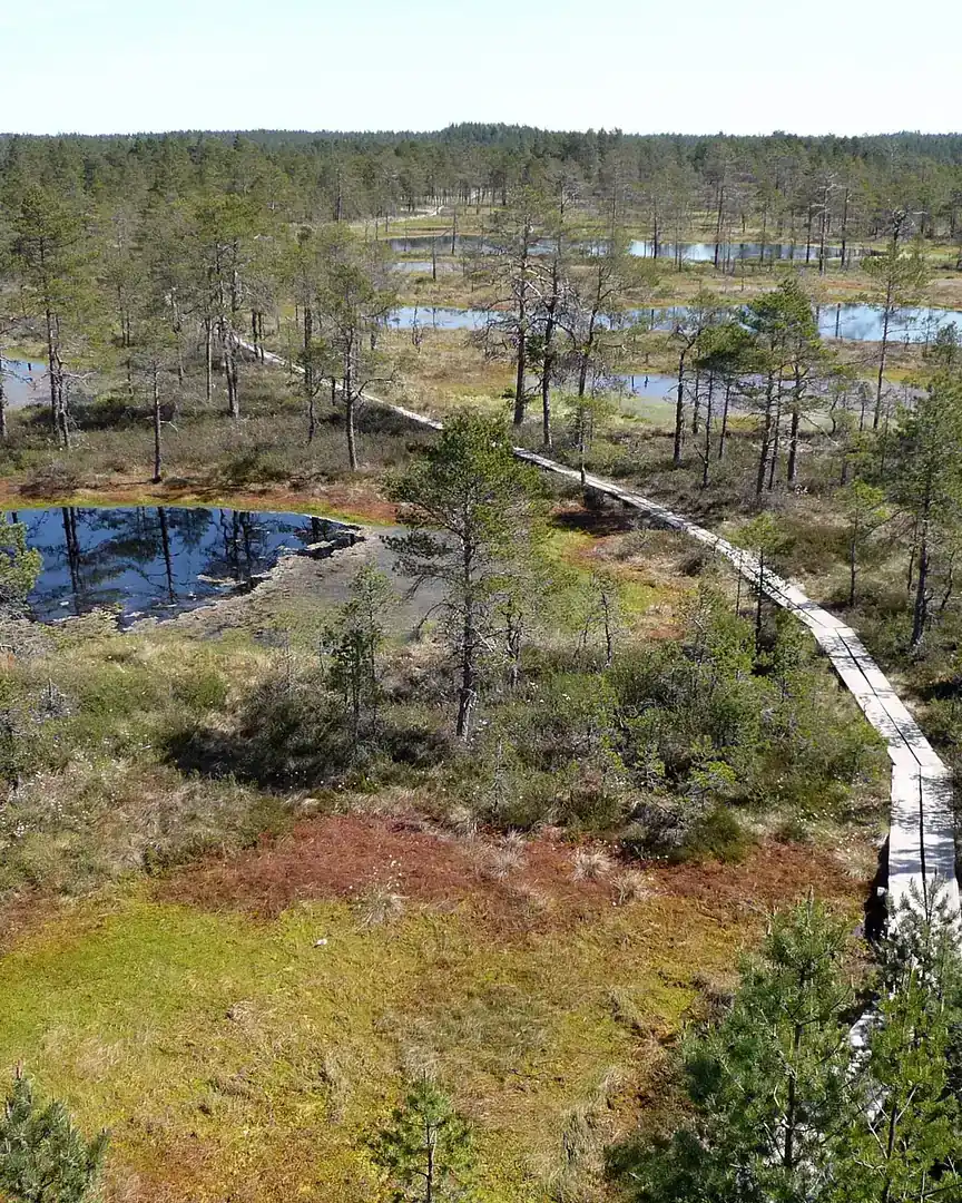 Foto: Parque nacional de Lahemaa · Estonia