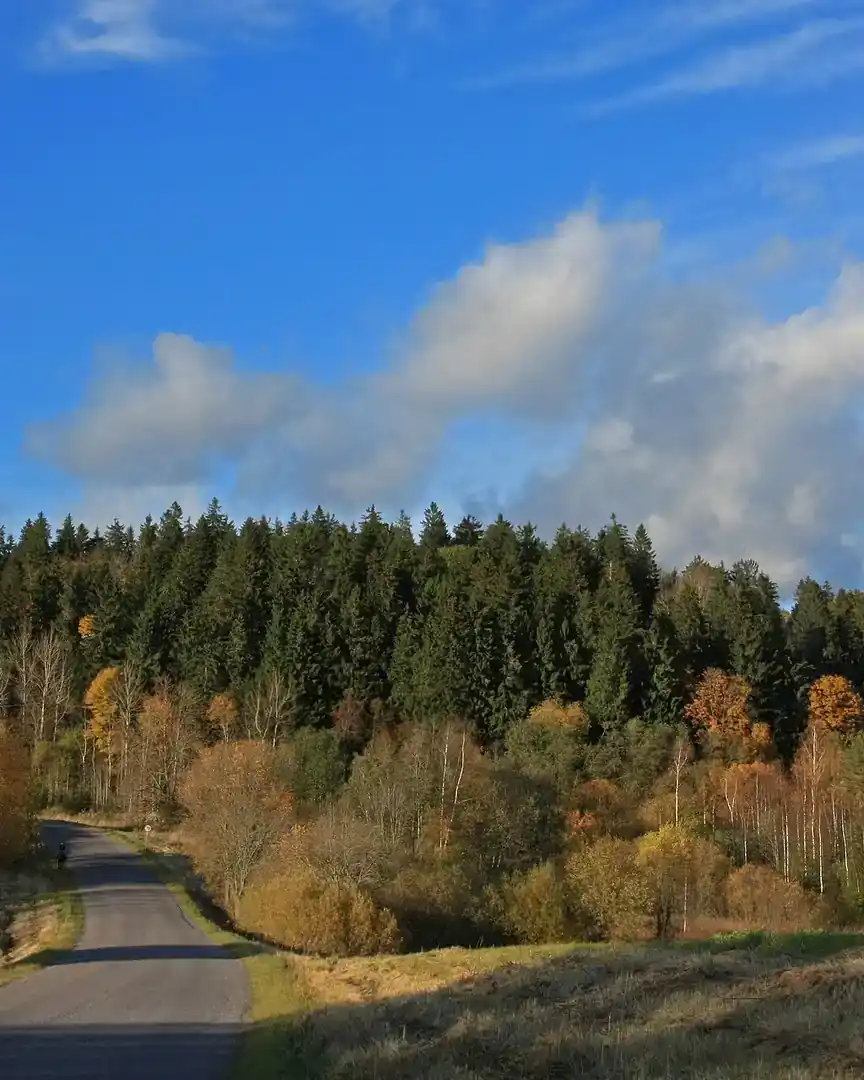 Foto: Suur Munamägi · Estonia