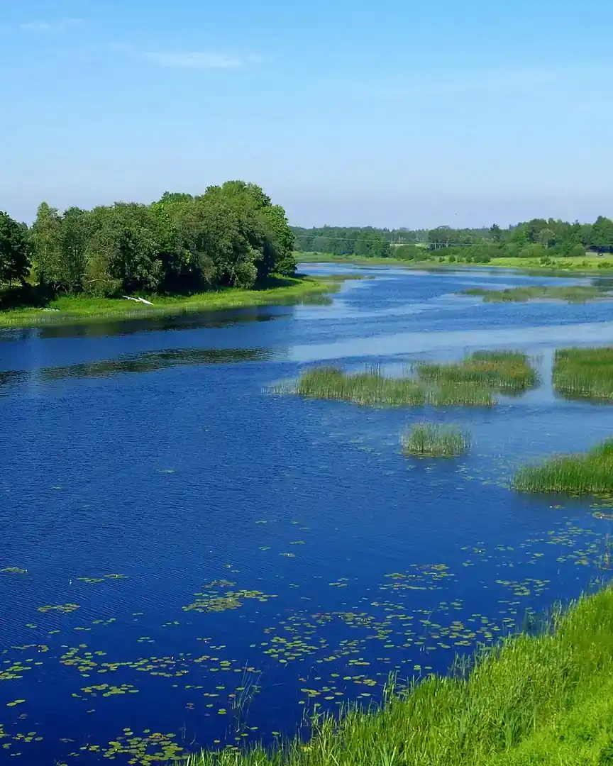Foto: Río Pärnu · Estonia