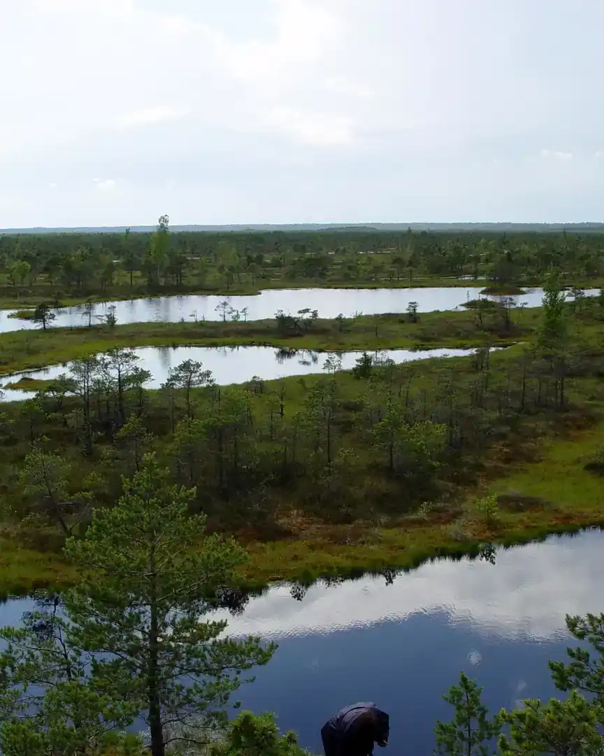 Foto: Parque nacional de Kemeri · Letonia