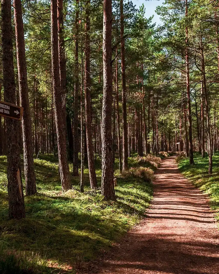 Foto: Parque nacional de Slītere · Letonia