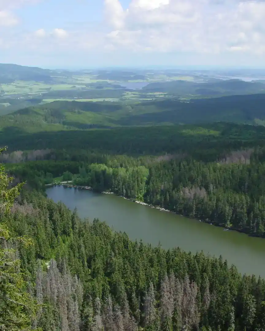 Foto: Parque nacional Šumava · República Checa