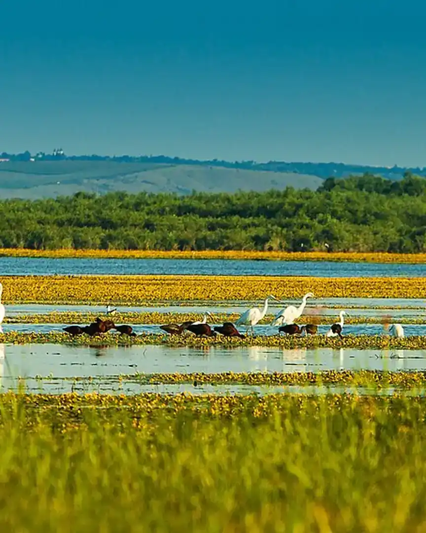 Foto: Lagos del bajo Prut · Moldavia