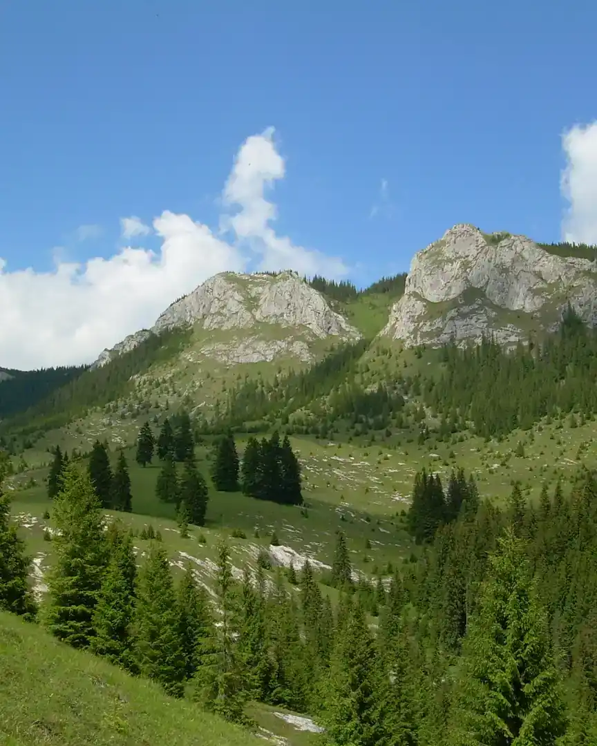 Foto: Montes Apuseni · Rumania